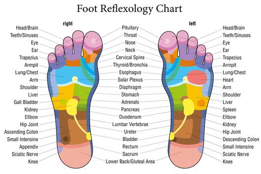 Foot reflexology chart description